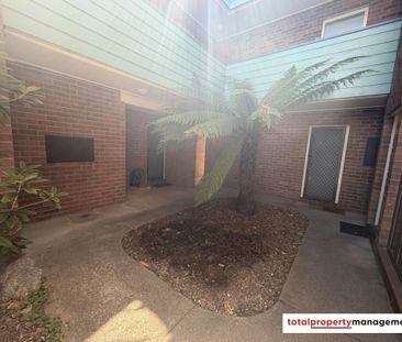 2c/62 Wattle Street, Lyneham ACT 2602 - Apartment For Rent | Domain - Photo 1