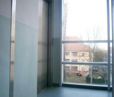 Wohnen in Schönefeld: 3-Zi. Whg mit offener Küche, Balkon, LIFT im ... - Photo 6