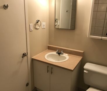 Rapibus Labrosse à Une Minute De Marche - Photo 2