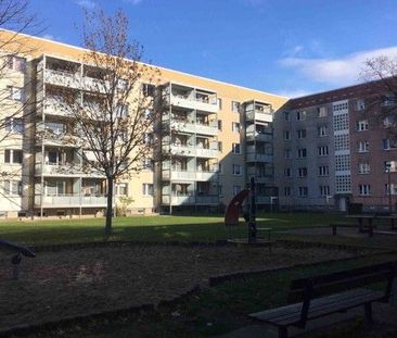 Schöne 3 Zimmerwohnung im ruhigen Familiengebiet in Dresden Seidnitz - Photo 4