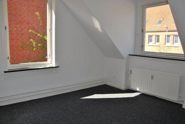 Skottenborg - Photo 1