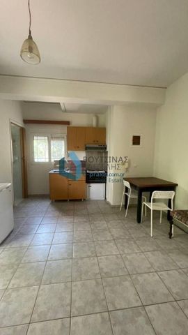 Studio/Γκαρσονιέρα για ενοικίαση Κέντρο (Ρίο) - Photo 5