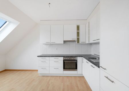 Apartment for rent in 15 Schlossgasse (Basel, Switzerland) - Photo 2