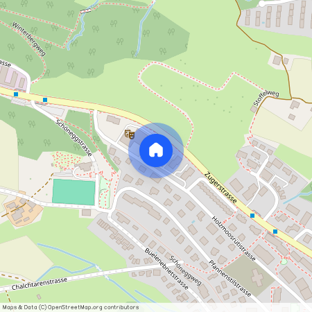 Holzmoosrütistrasse 46 a, 8820 Wädenswil