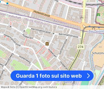 Cozy 3.0 room apartment with private washer-dryer - Foto 1