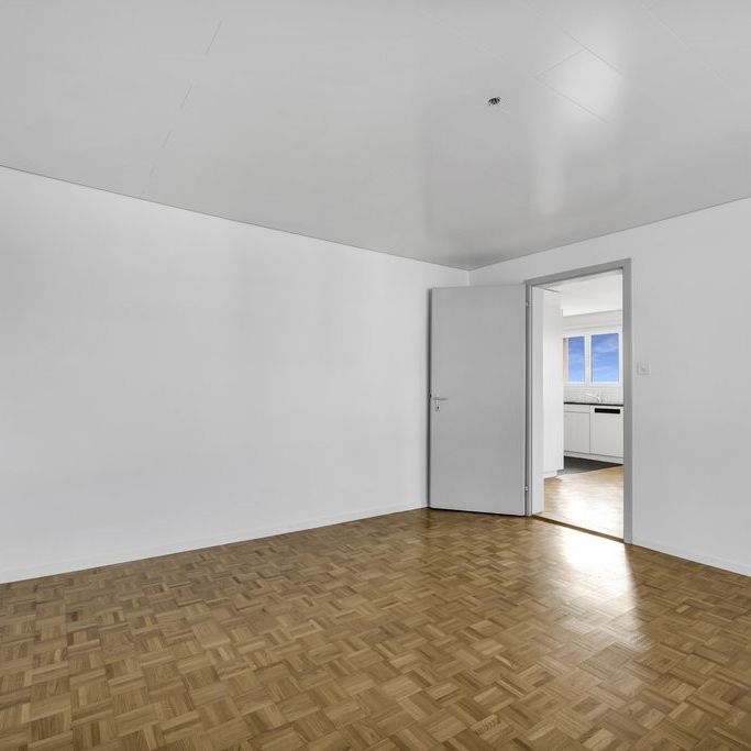 4 Zimmer-Wohnung, 9244 Niederuzwil - Photo 1