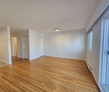 Large Cat Friendly Studio Close To Commercial Drive! - Photo 4