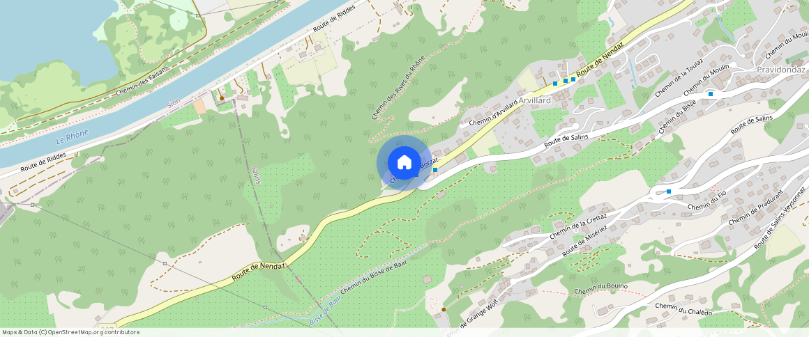 Chemin Du Borzat **, 1991 Arvillard (Salins)