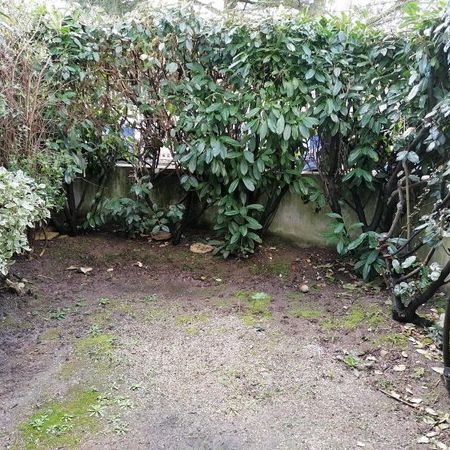 Location Appartement 1 pièce 18m² NANTES 44000 - Photo 3