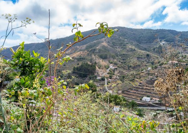 **¡Se Alquila Casa en Agulo, Las Rosas!** – 0067-04335