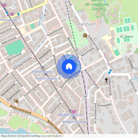 12 Geranienstrasse, 8008 Zürich