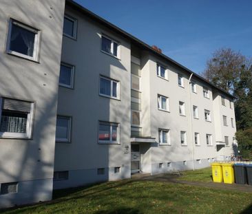Demnächst frei! 2-Zimmer-Wohnung in Sinzig - Photo 1
