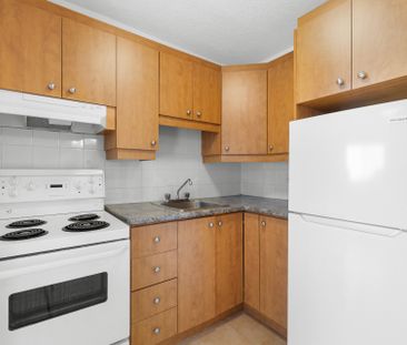 Condo for rent, Montréal (Ville-Marie) - Photo 2