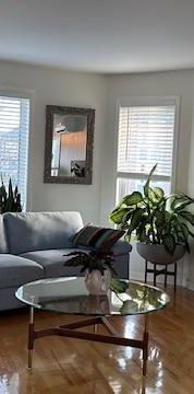 Grand Condo 4 1/2 a louer disponible maintenant - Photo 1