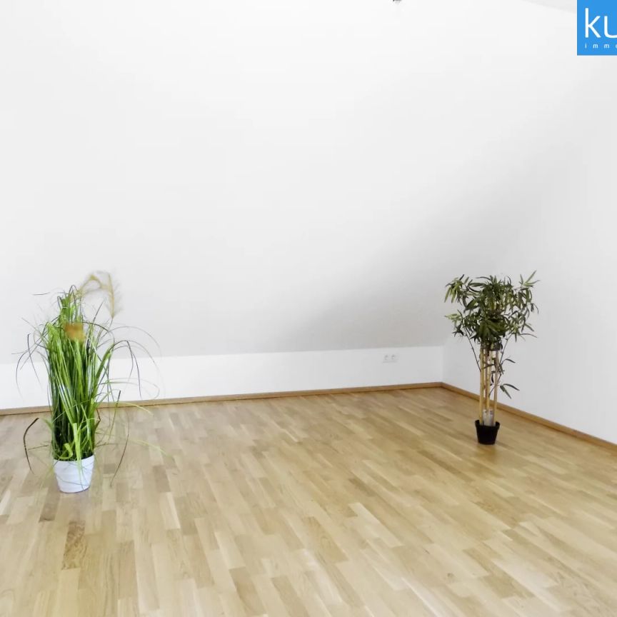 Moderne Erstbezugs-Wohnträume am grünen Stadtrand (mit Kaufoption) - Photo 1