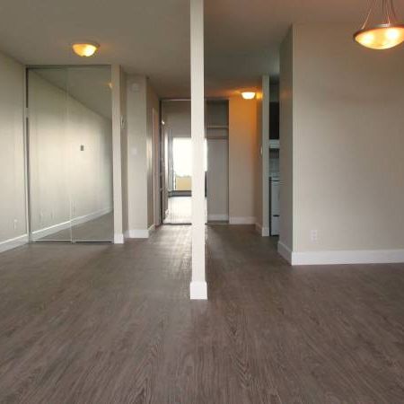 BRIGHT STUDIO UNIT -CHARMING UNIT *MINUTES FROM METROTOWN - Photo 4