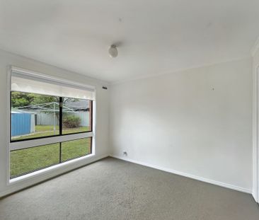 23 Morgan Street, Sebastopol - Photo 5