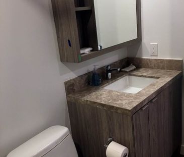 For Lease - 125 Blue Jays Way Unit# 1110, Toronto, Ontario - Photo 5