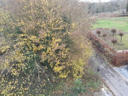 Gezellig 1 slpk-appartement met terras. - Foto 5