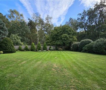 2 bedroom detached house to rent - Photo 5