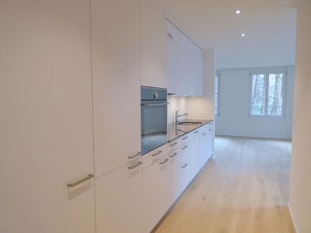Urban apartment in a new modern building, Wassergasse 53 - Foto 2