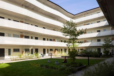 Arkens väg, Handen - Photo 5