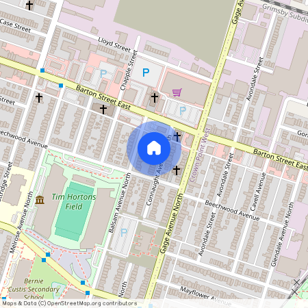 163 Connaught Avenue, Hamilton