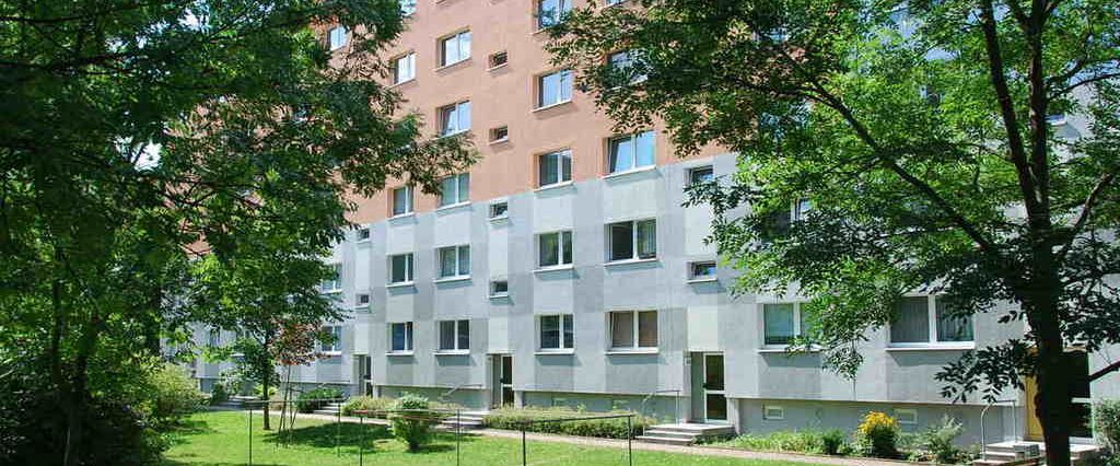 3-Raum-Wohnung - Foto 1