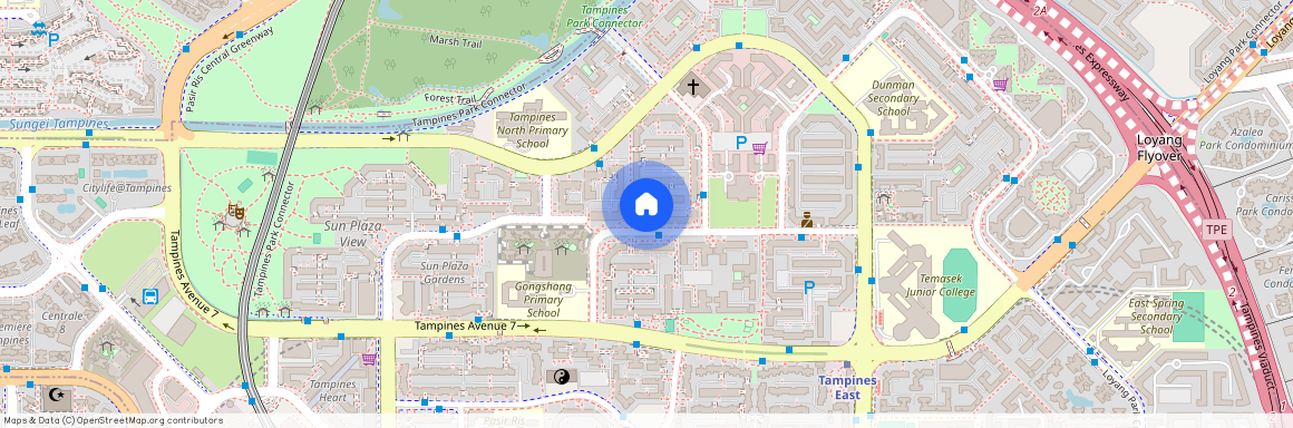 433 Tampines Street 43 (520433), Singapore