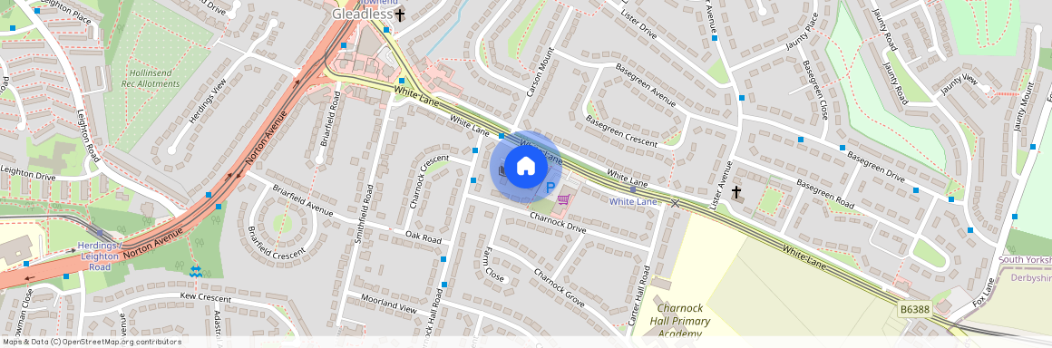 Blossom Crescent, Sheffield, S12
