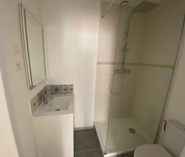 Location Appartement 1 pièce 15m² TOULOUSE 31500 - Photo 3