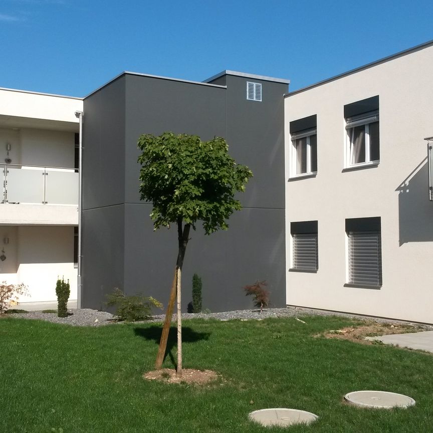 Logement adapté de 65 m2 au 1er étage Libre dès le 1er septembre 2025 - Foto 1