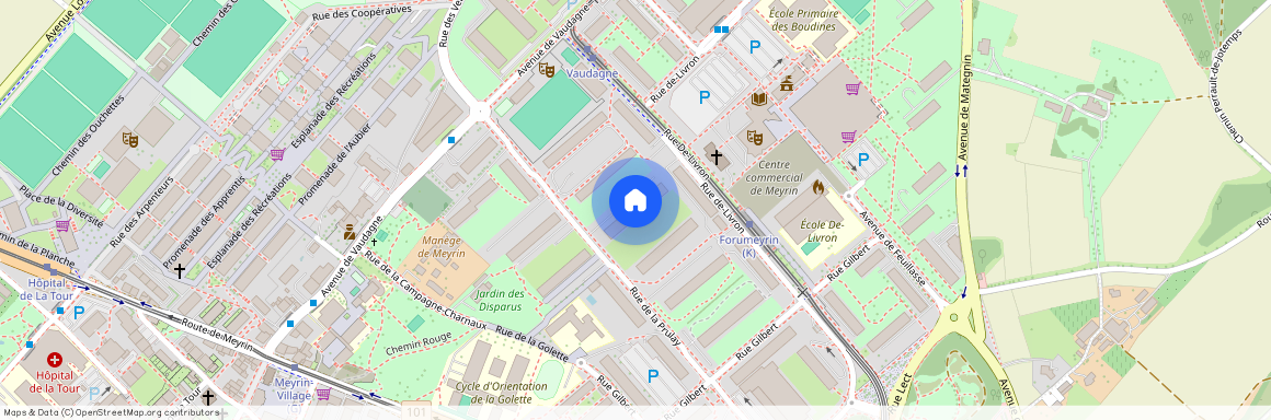 1217, Meyrin, Rue de la Prulay, 54