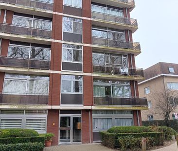 Te Huur- Appartement- Borsbeek- TH406 - Foto 3