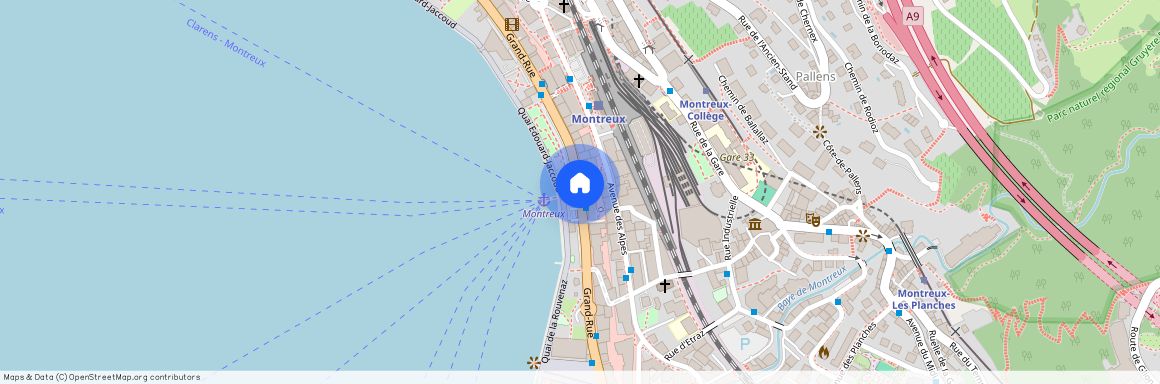 Grand' Rue, 1820 Montreux