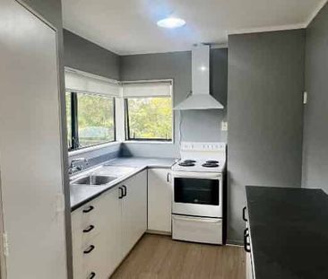 Fully Fenced & Pet Friendly - Photo 3