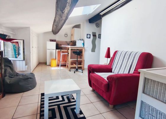 Appartement à louer 1 pièce • Villeneuve-Loubet - Photo 1