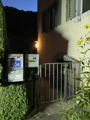 Modern furnished 2.5-room apartment in Langnau am Albis ideal for professionals - Photo 4