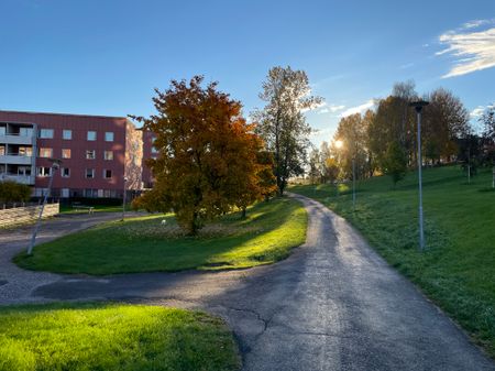 Axvägen, Sundsvall - Foto 5