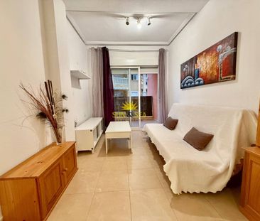 APARTMENT FOR RENT, 1 BEDROOM AND 1 BATHROOM IN TORREVIEJA - ALICANTE - Photo 5
