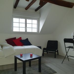 Location Appartement 1 pièce 14m² OLIVET 45160 - Photo 2