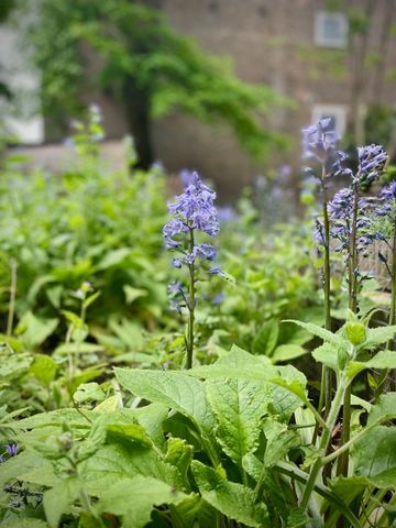 2 Bed Flat, Westbourne Park Road, W11 - Photo 4
