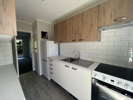 Renovated & Ready to Rent - Whitiora - Photo 2