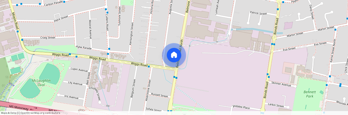 91 Belmore Road Punchbowl, NSW 2196