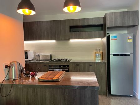 Camperdown - Photo 4