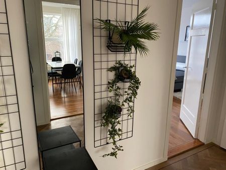 Te huur: Appartement 2e Sweelinckstraat in Den Haag - Foto 5