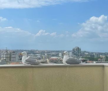 Rua da Constituição, Porto, Braga 4250 - Photo 6