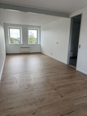 Pæn lejlighed i hyggelige omgivelser - Photo 1