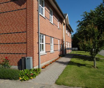 Mølkærvej 7 st.th., Durup, 7870, Roslev - Photo 5