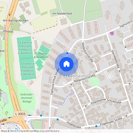 Sigmund-Freud-Straße 44, 60435, Frankfurt Am Main